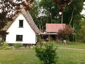 Beech Cottage - Tacolneston, Norfolk